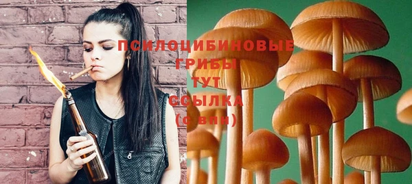 бутират Бугульма